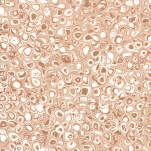 Alternative view of Grabo Polis tekercses PVC burkolat